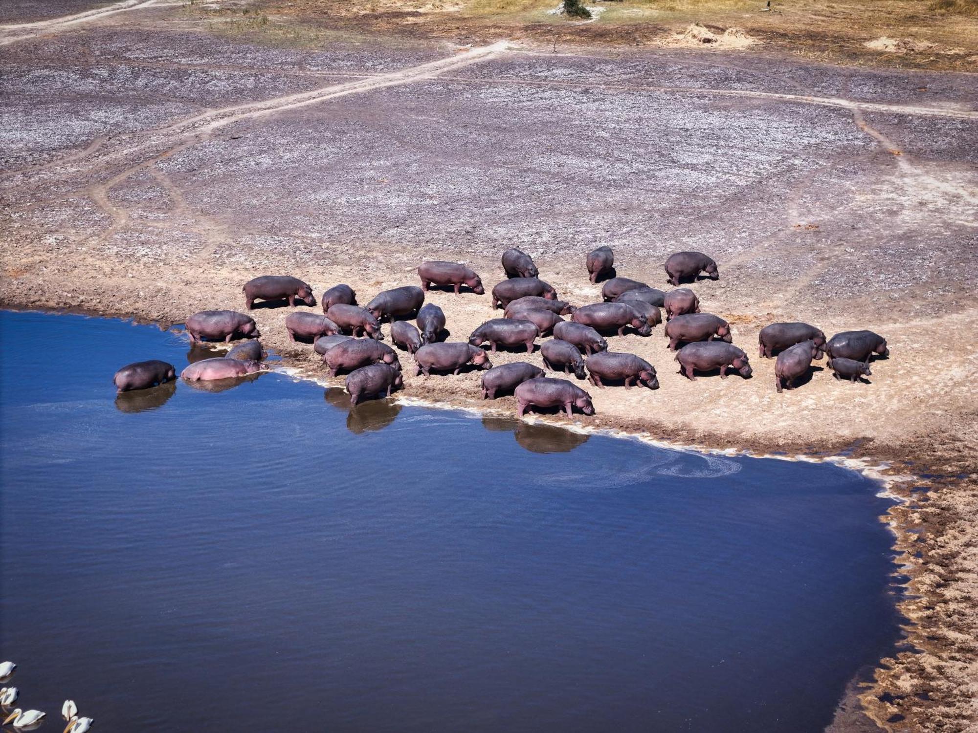 Golentle Home Stay Maun Esterno foto