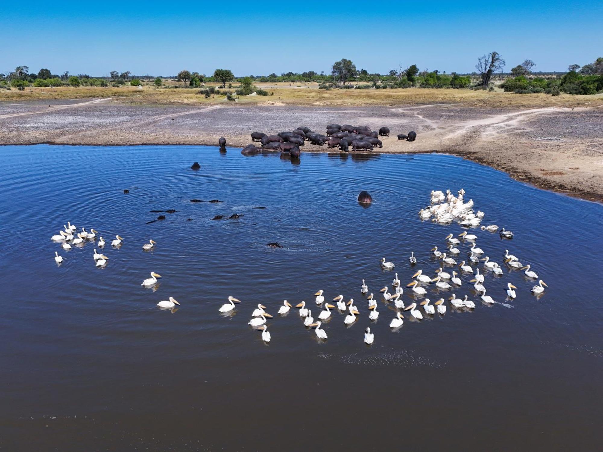 Golentle Home Stay Maun Esterno foto