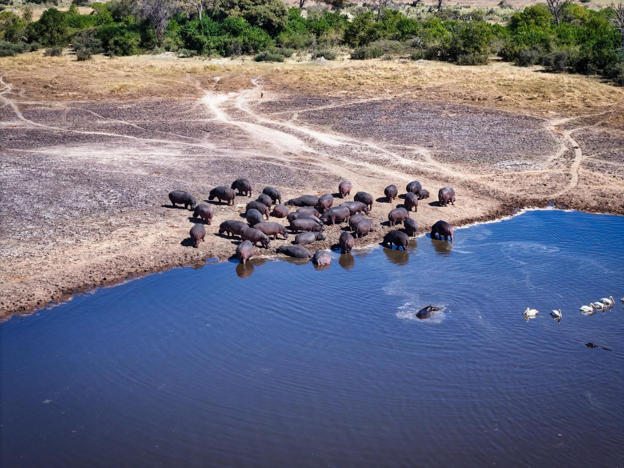 Golentle Home Stay Maun Esterno foto