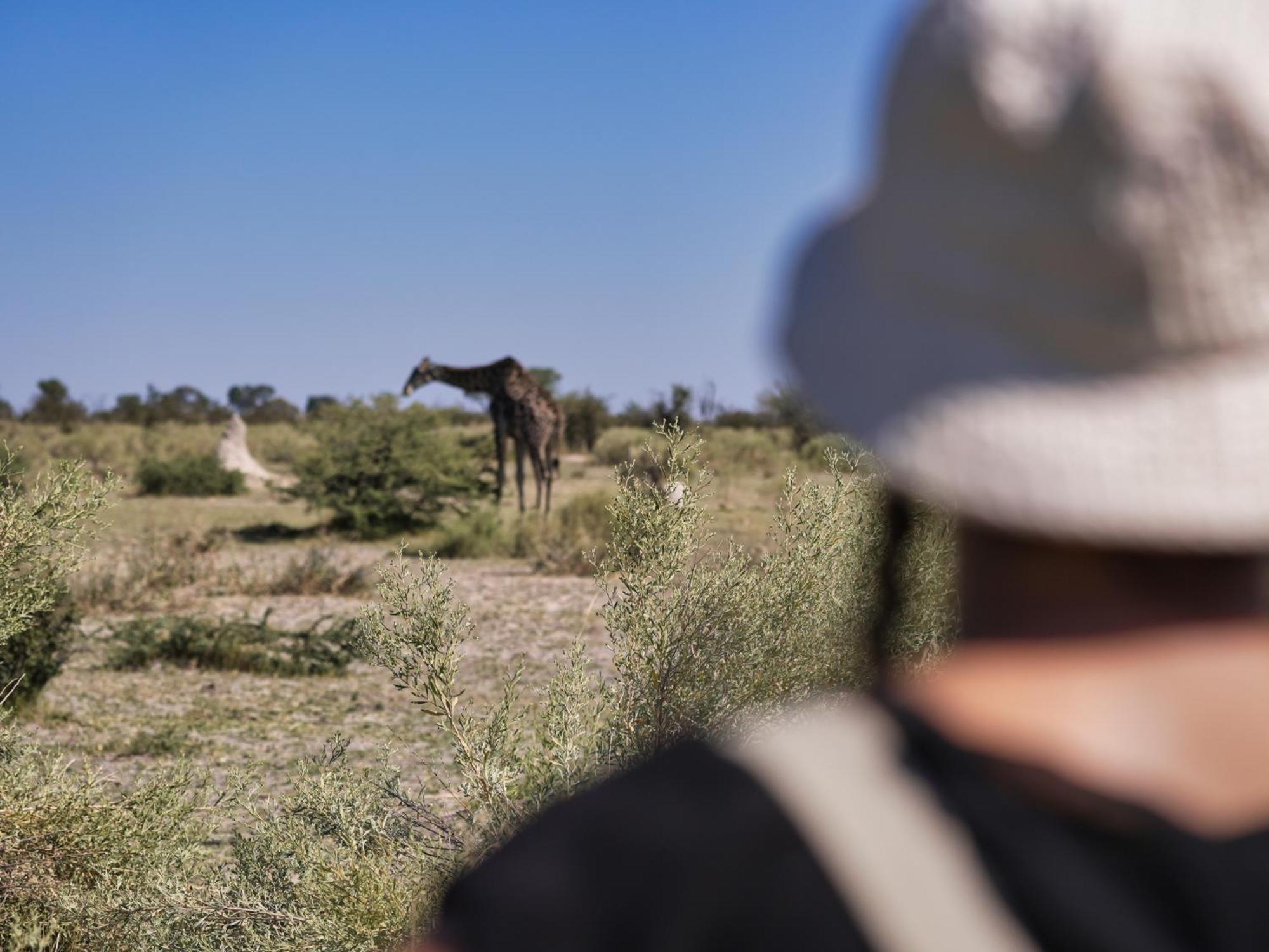 Golentle Home Stay Maun Esterno foto