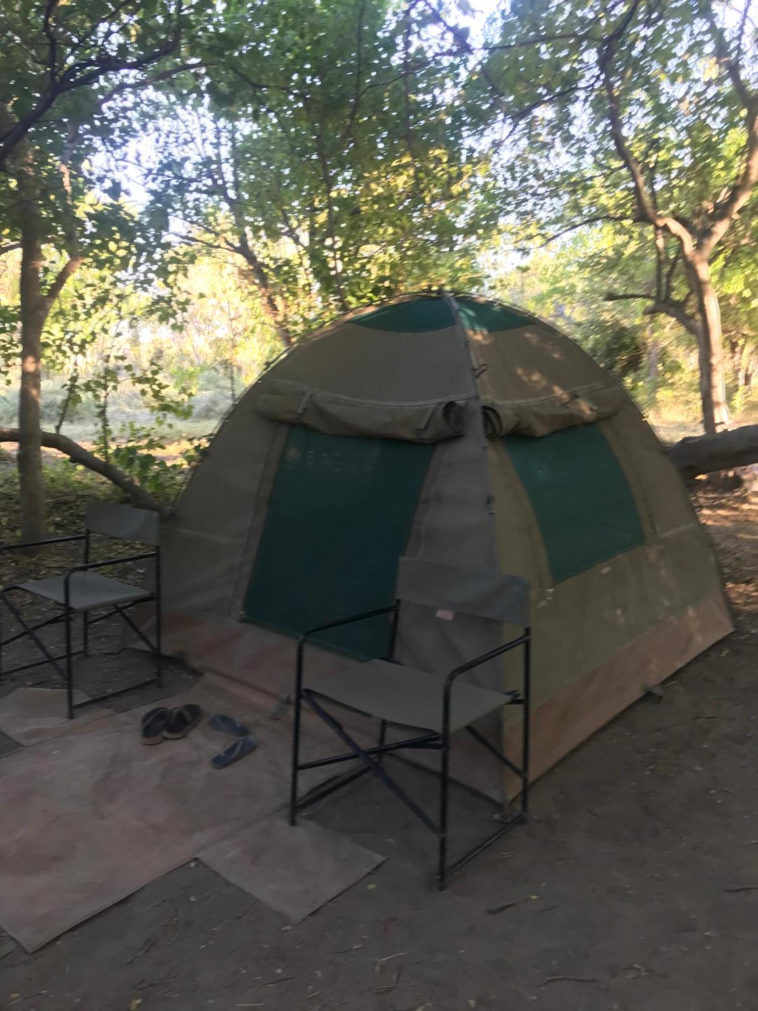 Golentle Home Stay Maun Esterno foto