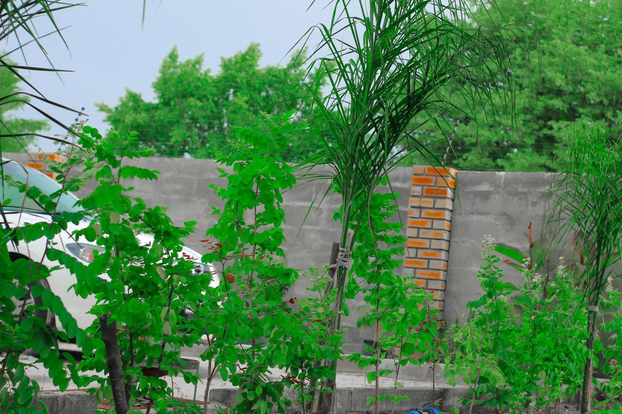 Golentle Home Stay Maun Camera foto