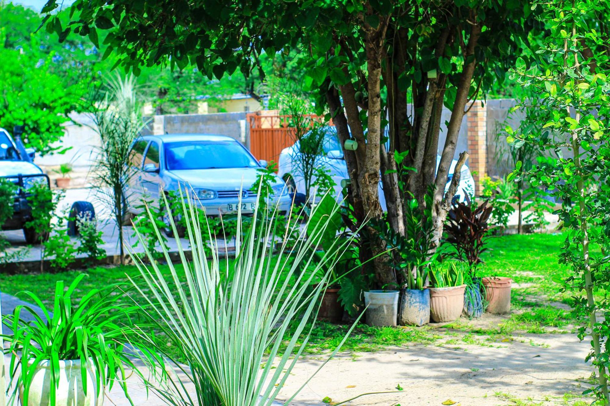 Golentle Home Stay Maun Esterno foto